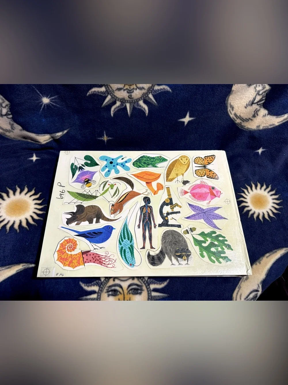 Charley Harper An Illustrated Life Todd Oldham Giant Art Book Biology Nature